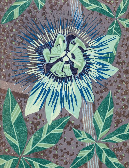 Passion Flower by Kate Goetz