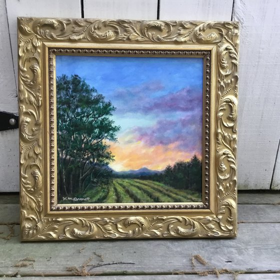 EAST FIELD SUNRISE - oil 12X12 (SOLD)