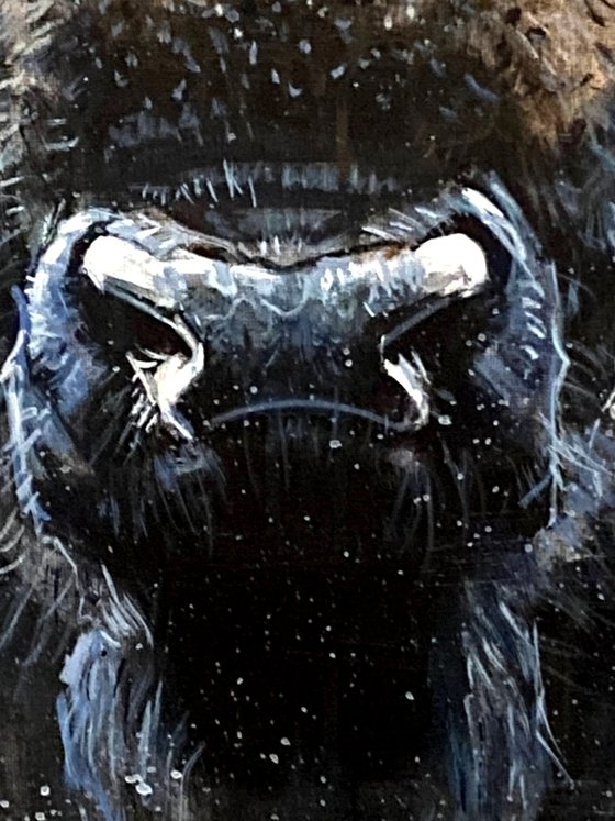 Silence in the Storm