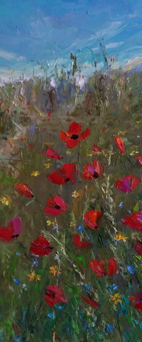 Field of poppies(40x50cm, oil painting, impressionistic) by Kamsar Ohanyan