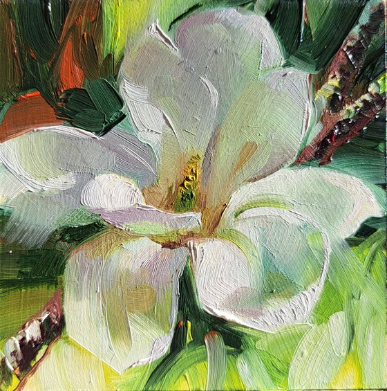 Magnolia painting