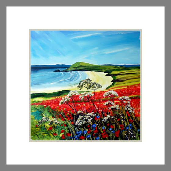 Poppies, West Pentire