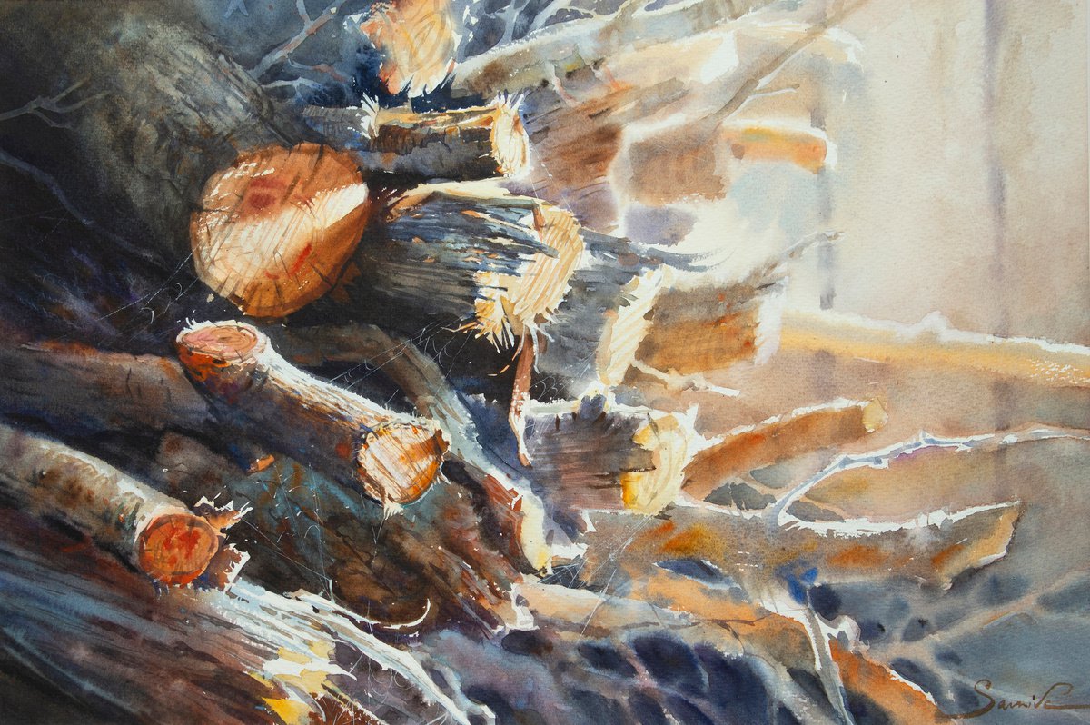 Firewood in the sun (at the exhibition) by Samira Yanushkova