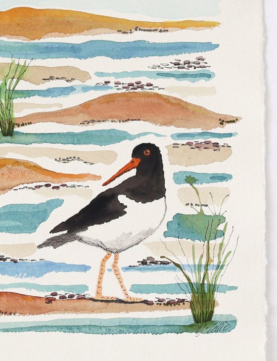 Oystercatchers Tide