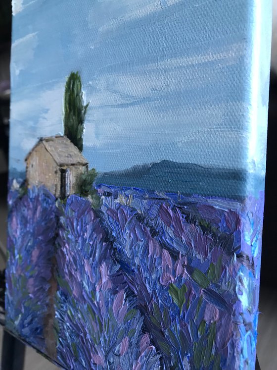 Provence Lavender field 100%Original Oil Painting