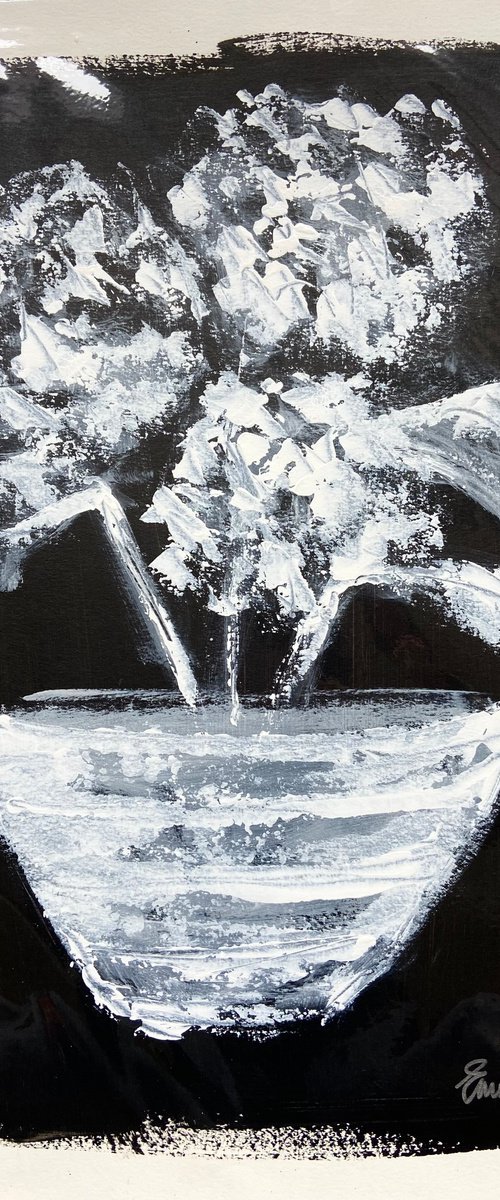 Hydrangeas White on Black  acrylic on paper by Emma Bell