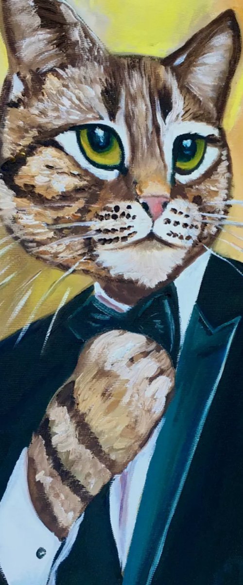 Cat Dolce & Gabbana. by Olga Koval