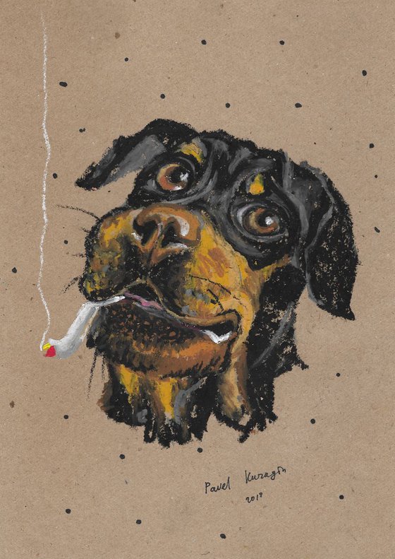 Smoking rottweiler