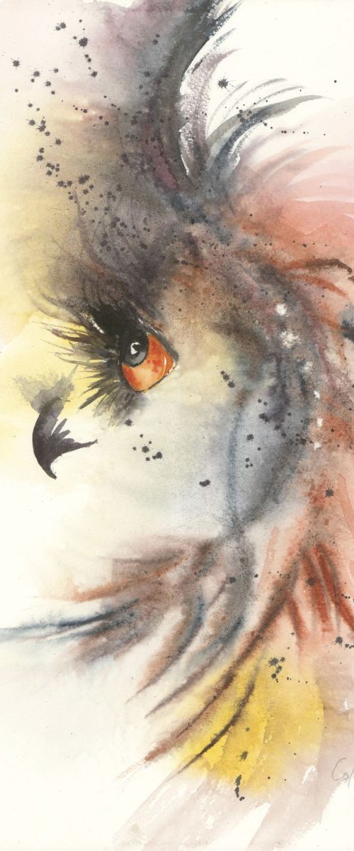 'Orange eyed Owl' by Nicola Colbran