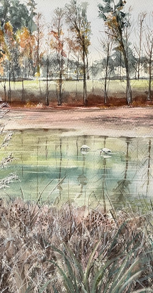 Florida Pond by Yoshiko Murdick