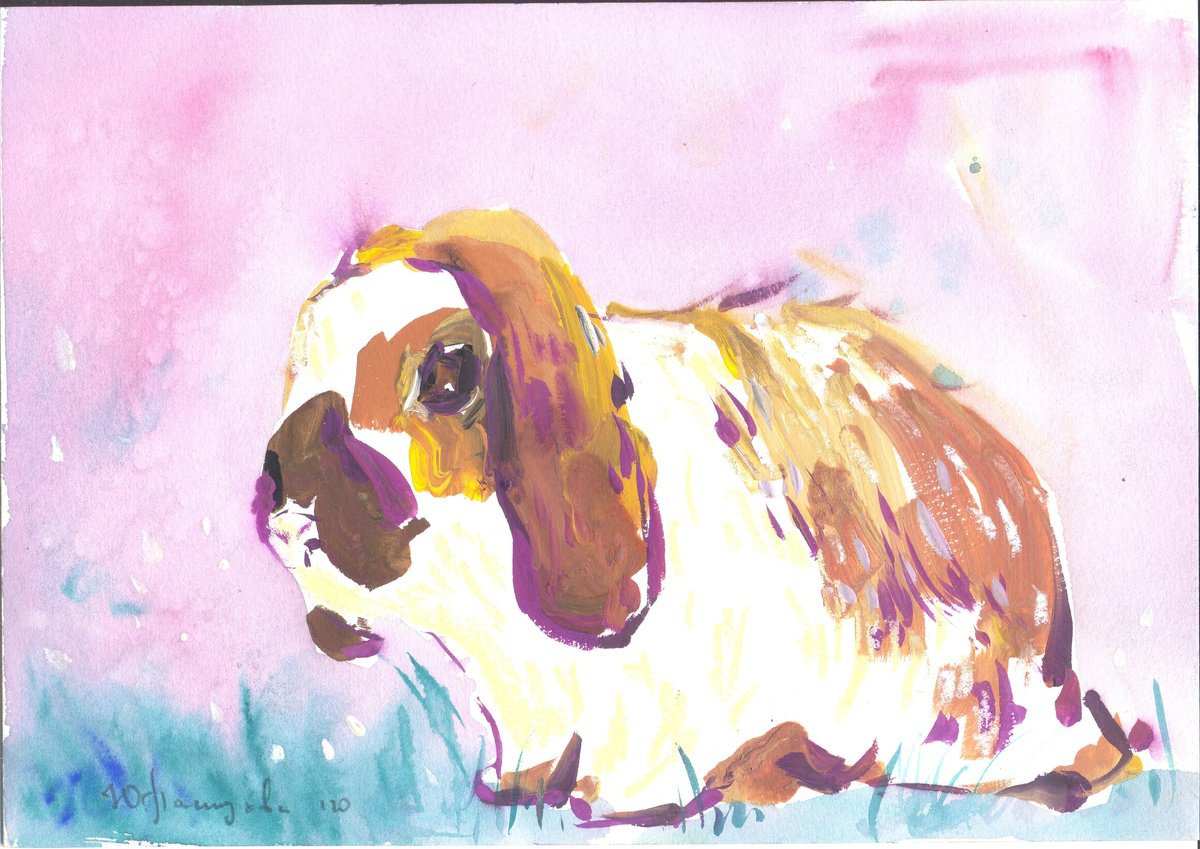 rabbit by Yuliia Pastukhova