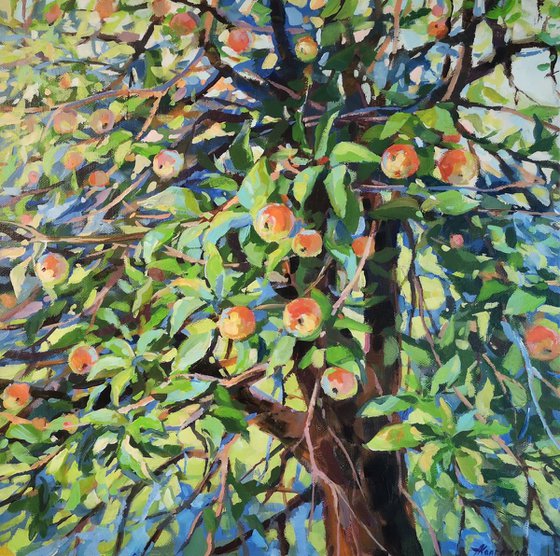 An apple tree (14x14x0.7'')