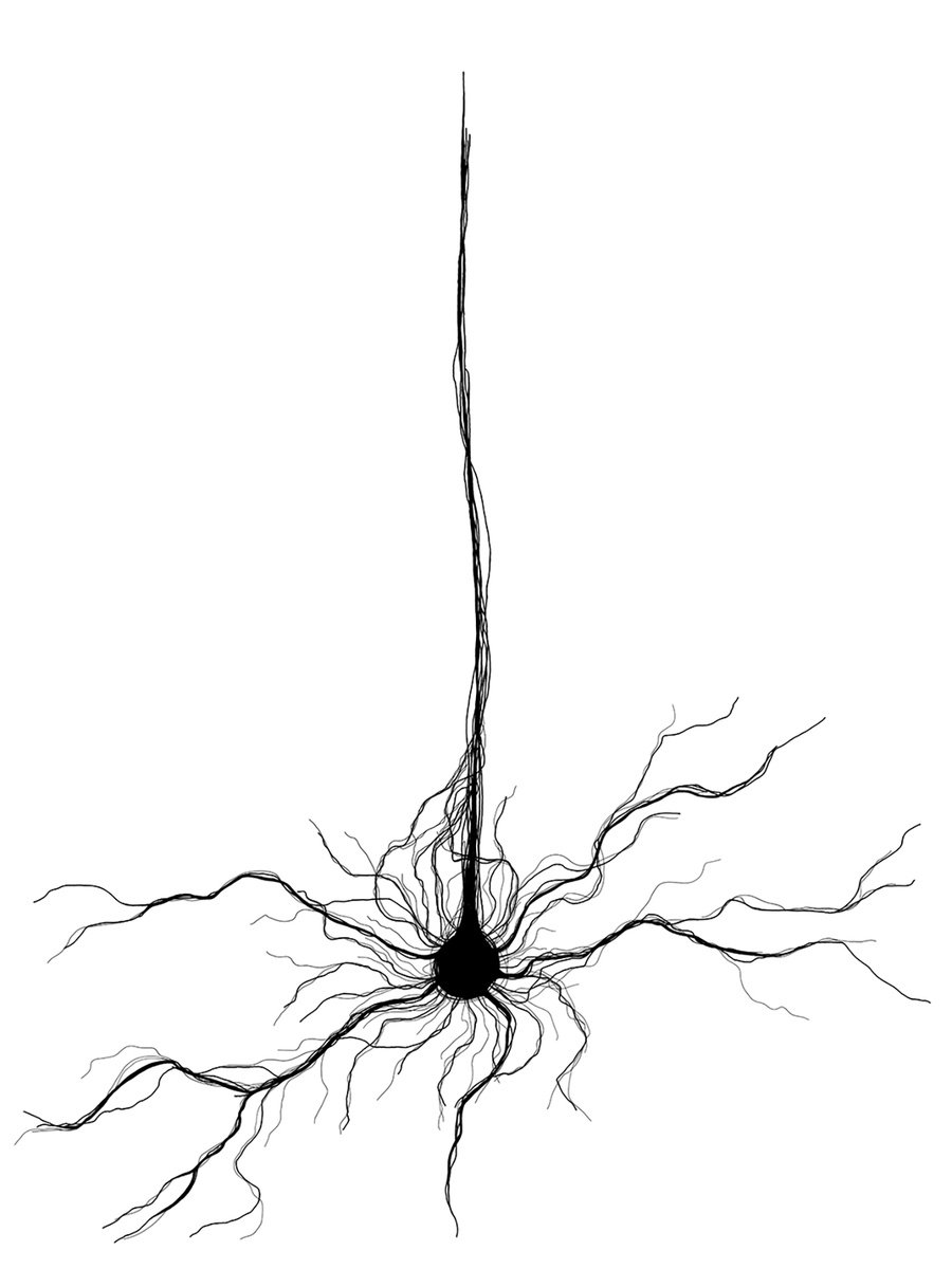 Neuron by Bob Cooper