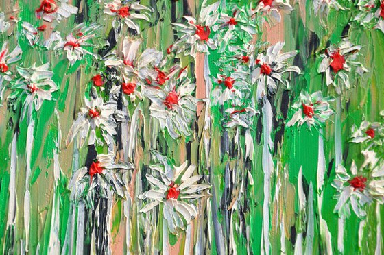 Daisies In The Grass
