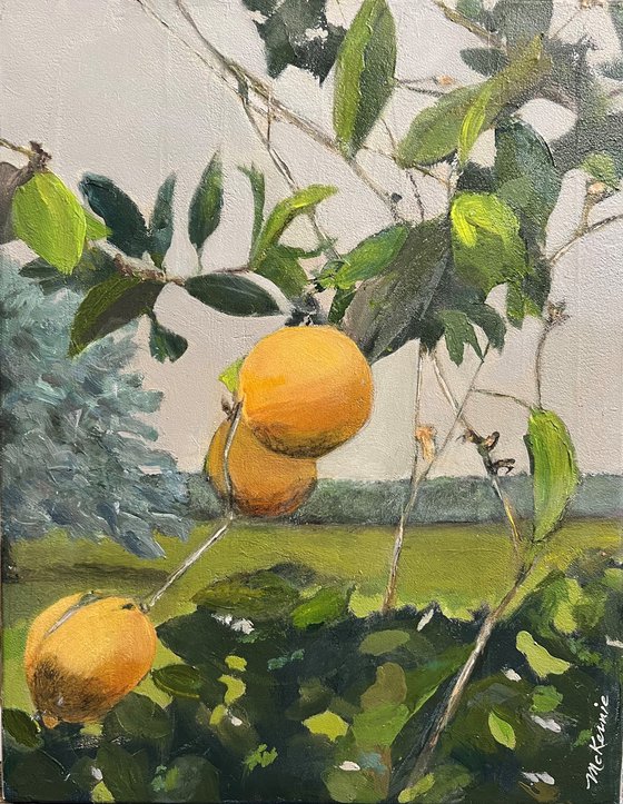 The Lemon Grove