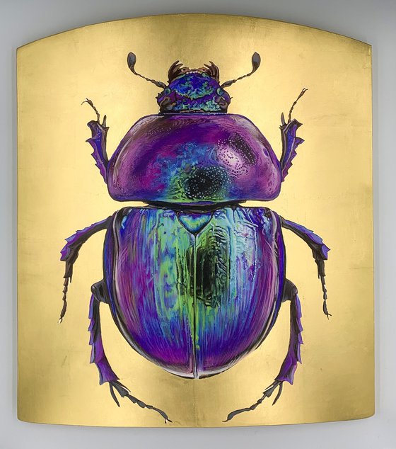 spring dor beetle