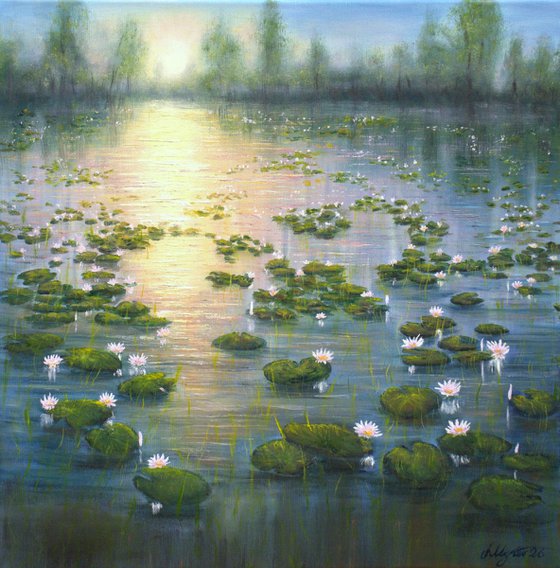 Lilies pond