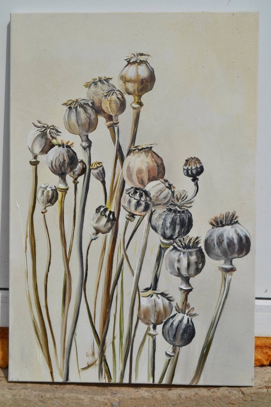 Pastel Poppy Pods