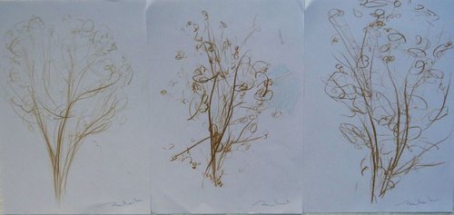 Three Tree sketches, 21x29 cm - affordable & AF exclusive ! by Frederic Belaubre