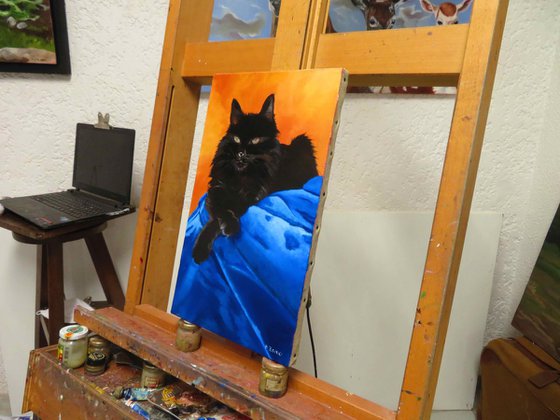 Titou, Portrait of a black cat