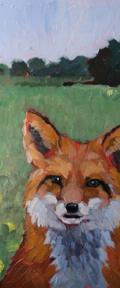 Fox study no 1 by Kerry Lisa Davies