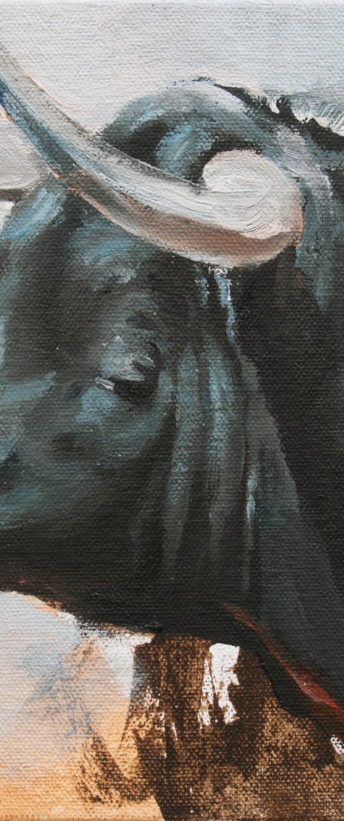 Toro Head Negro (study 46) by Zil Hoque