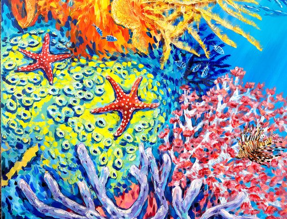 Coral Reef Wonder