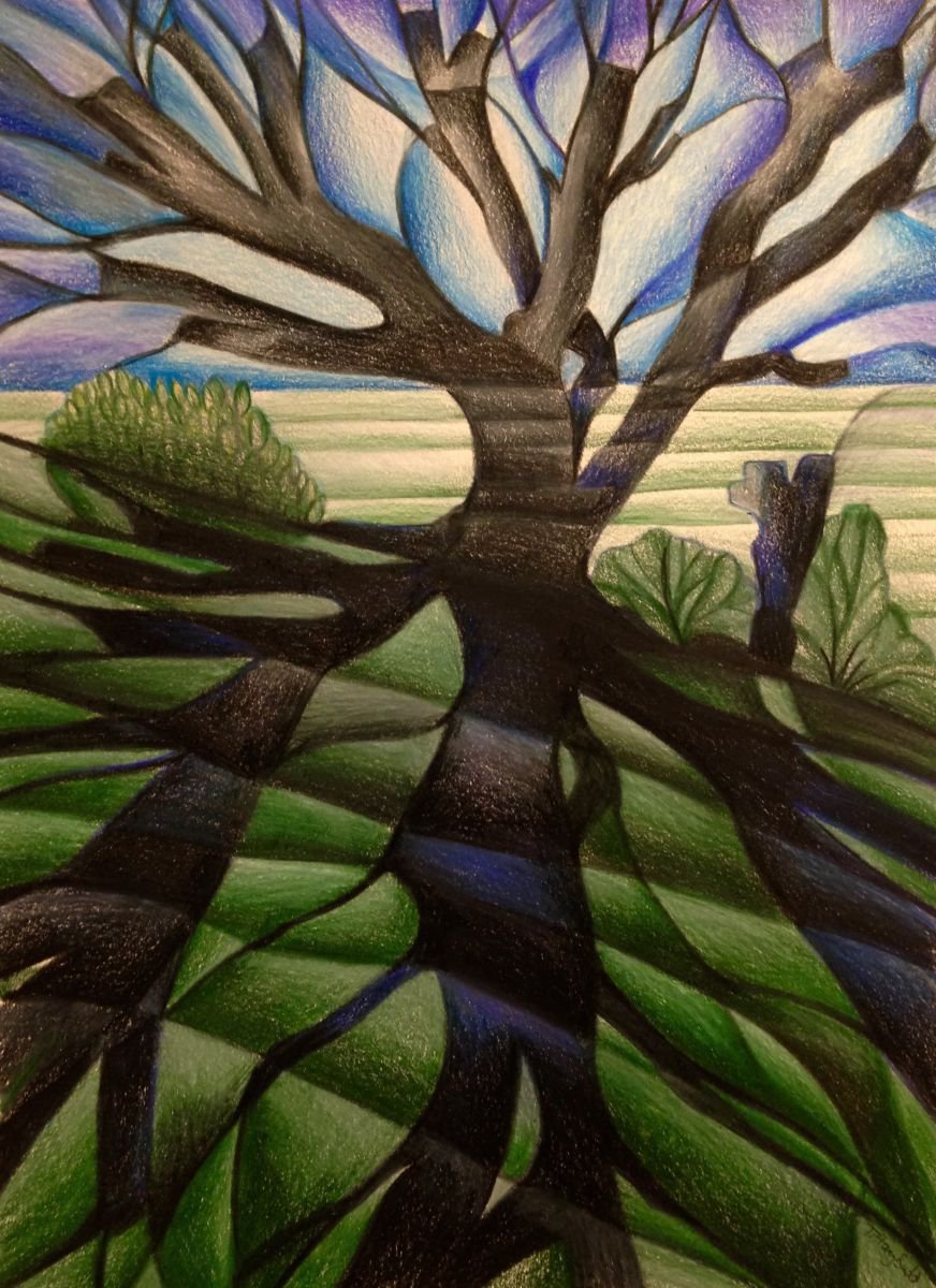 Organic Landscape Pencil Drawing By Tiffany Budd, 16 X 20", Shadows, Original Artwork