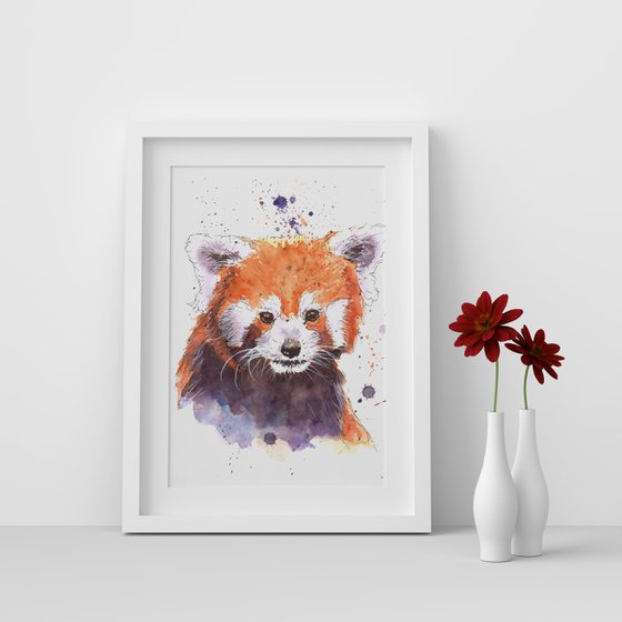 Red Panda