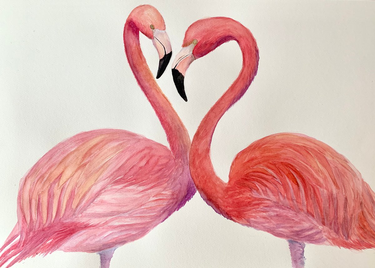 Flamingo kisses by Lucia Kasardova