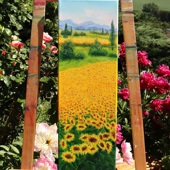Sunflowers field in Tuscany