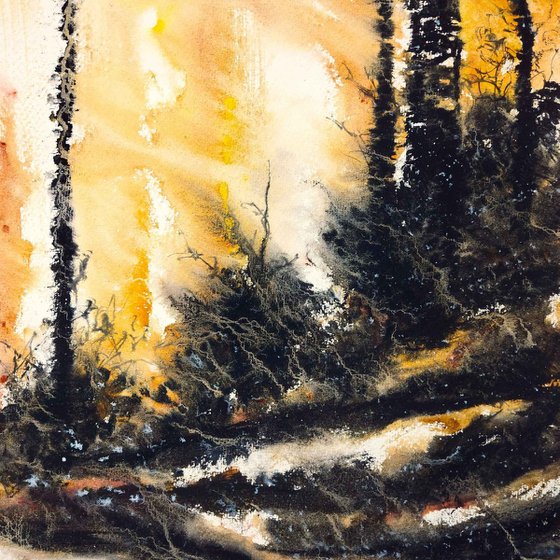 The Forest Crackled
