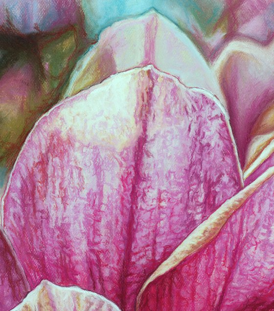 Original Pink Magnolia Flower Drawing | Luminous Magnolia Grandiflora | Romantic Floral Home Decor | Soft Pastels Art