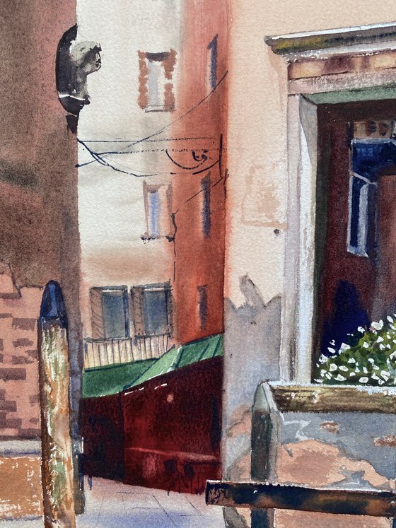 Colors of Venice