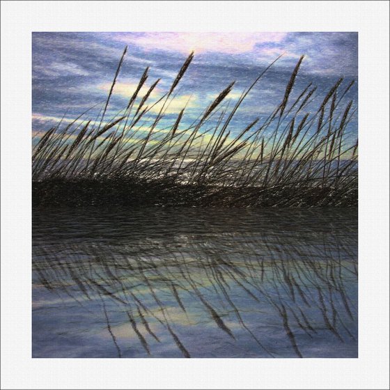 Reeds & Sunset