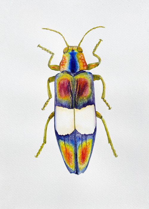 Radiant Majesty: Chrysochroa Edwardsi Beetle 2 by Tetiana Savchenko