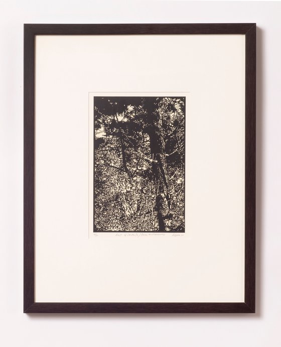 EAST OF SANTA FE/PECOS WILDERNESS