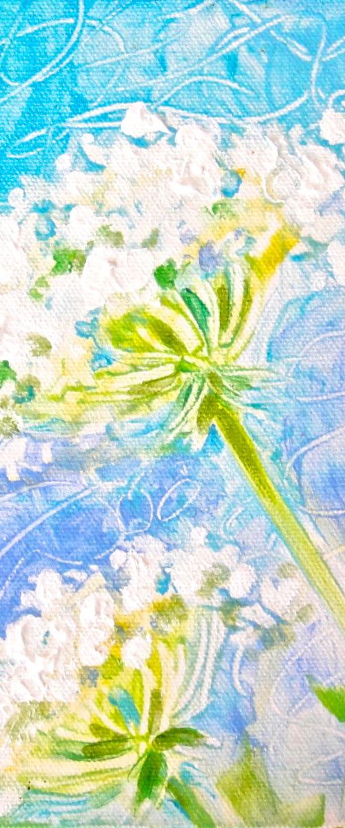 Queen Anne's Lace by louise baker
