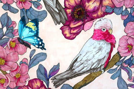 Galah's pink garden