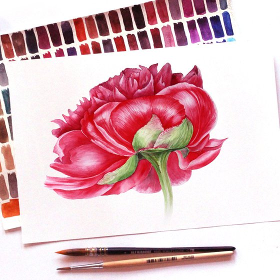 Red Peony