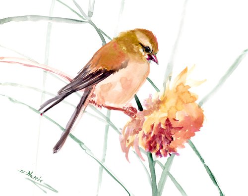 Female American Goldfinch by Suren Nersisyan
