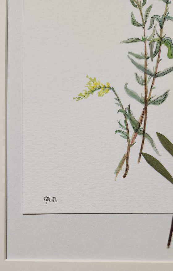Goldenrod