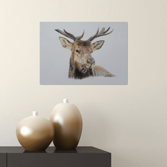 “ Majestic Stag”