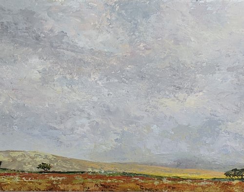 A Slice of Dartmoor by Katy Stoneman