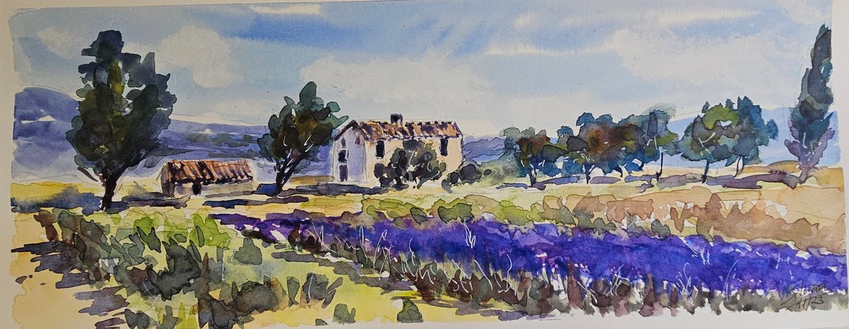 Impressionistic Landscape Watercolour By Silvia Flores Vitiello, 14 X 6", Last July Lavender, Original Artwork