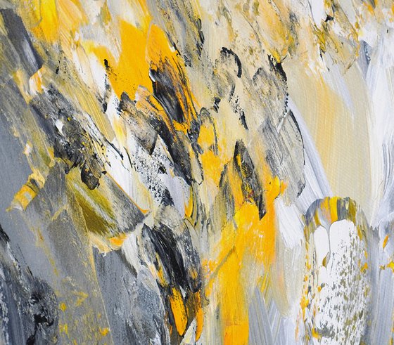 Elegance Anthracite M  1