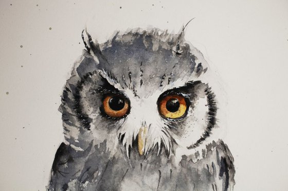 Teenage Owl