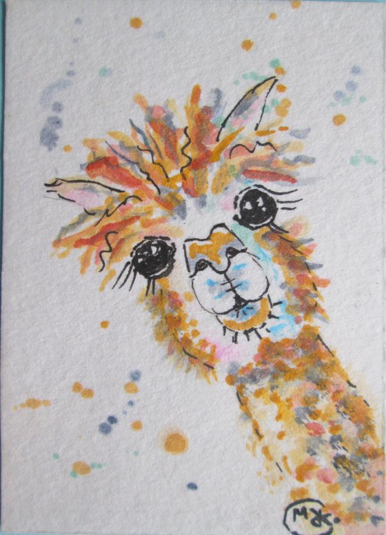 Alpaca