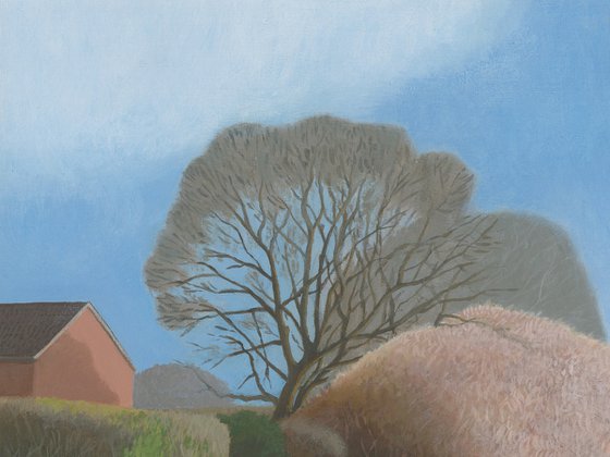 The Old Railway Path