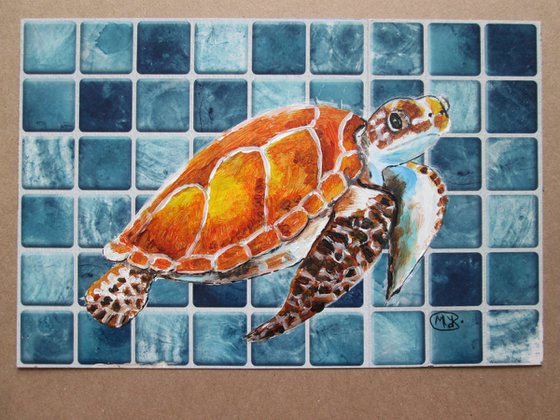 Sea Turtle